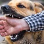 रुद्रपुर जिला अस्पताल की बड़ी लापरवाही: रेबीज वैक्सीन खत्म होने से घंटों भटके मरीज, तीमारदारों का हंगामा