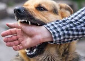 रुद्रपुर जिला अस्पताल की बड़ी लापरवाही: रेबीज वैक्सीन खत्म होने से घंटों भटके मरीज, तीमारदारों का हंगामा