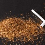 4 एकड़ में फैला भारत का पहला परागणकर्ता उद्यान : तितलियों और मधुमक्खियों का अनूठा घर